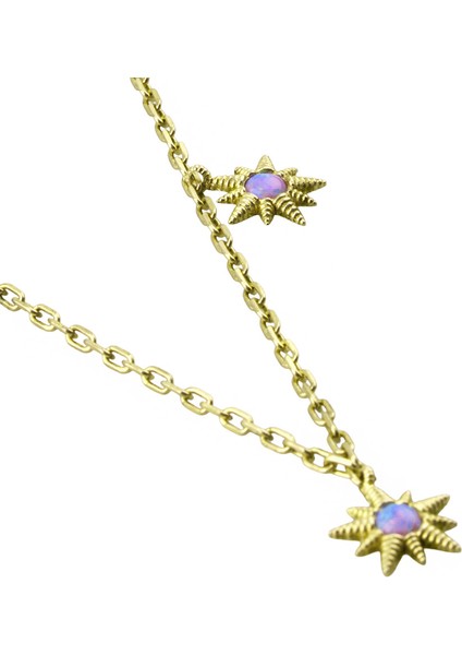 Kutup Yıldızı Gümüş Kolye Ms3373 fiyatları