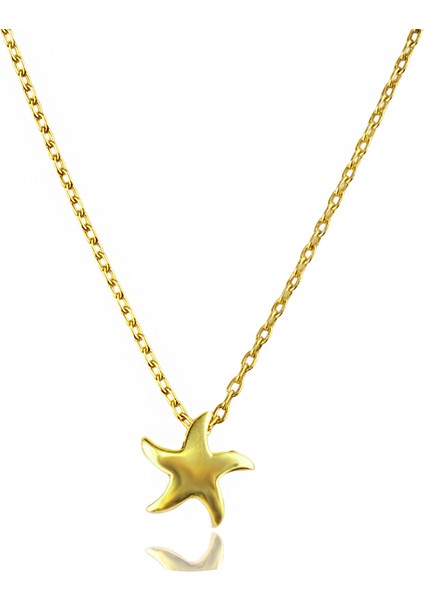 Deniz Yıldızı Gümüş Kolye MS3346