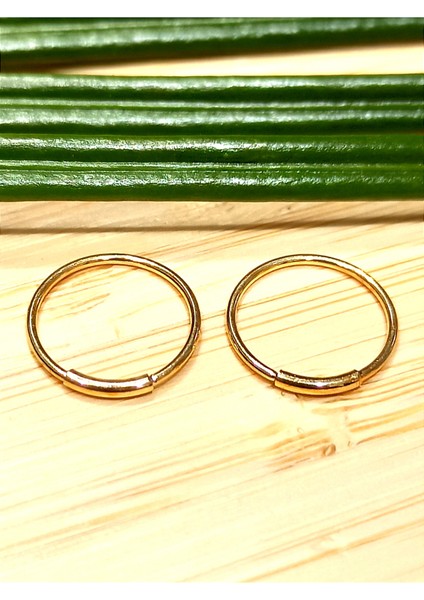 Sarı Renk Halka Unisex Çelik Küpe fiyatları