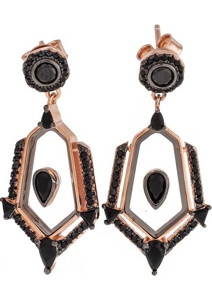 Froze Gümüş Küpe SB1600