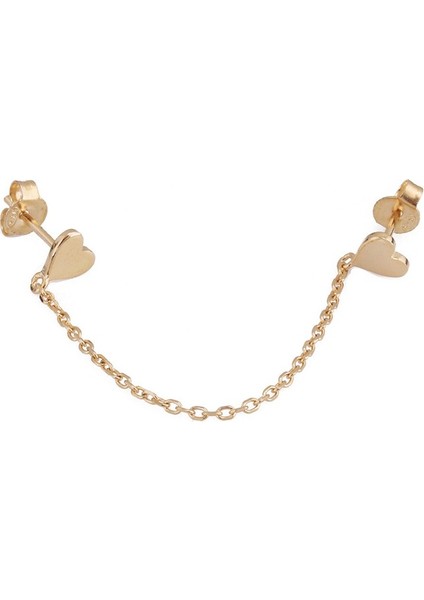 Kalp Gümüş Küpe MS2510