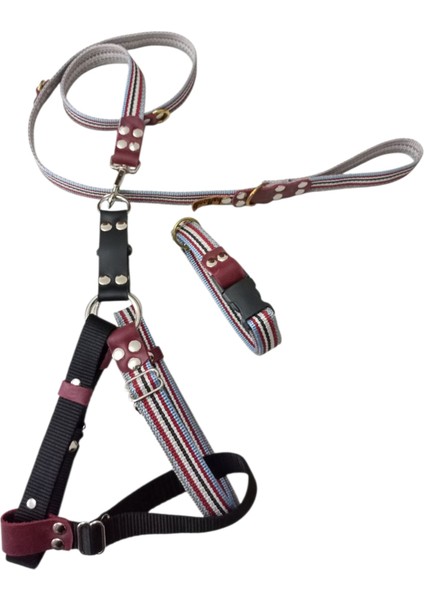 Köpek göğüs tasması gezdirme kayışı boyun tasmalı set orta ve büyük ırk ölçü:50-90cm kayış:130cm tasma:30-50cm Tb6-8