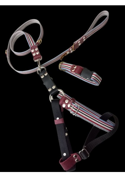 Köpek göğüs tasması gezdirme kayışı boyun tasmalı set orta ve büyük ırk ölçü:50-90cm kayış:130cm tasma:30-50cm Tb6-8 fırsatları