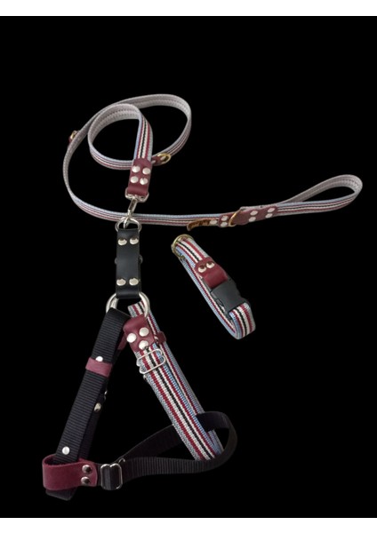 Köpek göğüs tasması gezdirme kayışı boyun tasmalı set orta ve büyük ırk ölçü:50-90cm kayış:130cm tasma:30-50cm Tb6-8