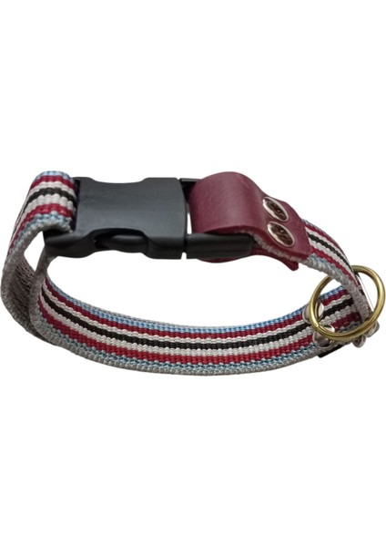 Köpek Boyun Tasması Orta Irk ve Büyük Irk Renkli Kolon Boyun ÖLÇÜSÜ:30-50CM Ayarlamalı Dog Collor T3-19
