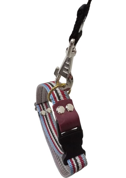 Köpek Boyun Tasması Orta Irk ve Büyük Irk Renkli Kolon Boyun ÖLÇÜSÜ:30-50CM Ayarlamalı Dog Collor T3-19 fiyatları
