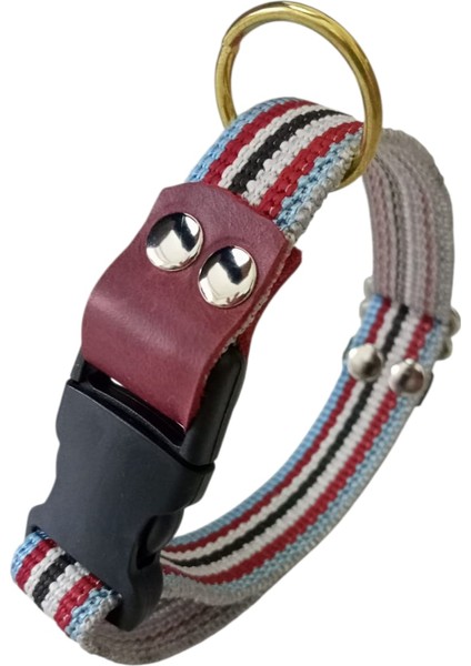 Köpek Boyun Tasması Orta Irk ve Büyük Irk Renkli Kolon Boyun ÖLÇÜSÜ:30-50CM Ayarlamalı Dog Collor T3-19 indirimleri