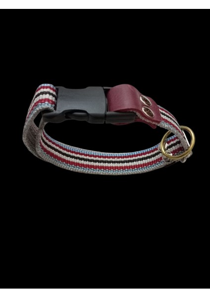 Köpek Boyun Tasması Orta Irk ve Büyük Irk Renkli Kolon Boyun ÖLÇÜSÜ:30-50CM Ayarlamalı Dog Collor T3-19
