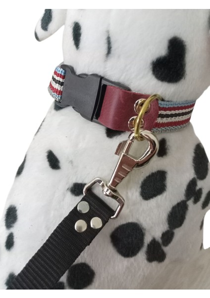 Köpek Boyun Tasması Orta Irk ve Büyük Irk Renkli Kolon Boyun ÖLÇÜSÜ:30-50CM Ayarlamalı Dog Collor T3-19