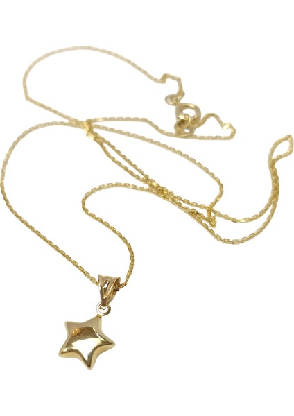 Tombik Yıldızı Kolye 14 Ayar Altın Hd Videolu