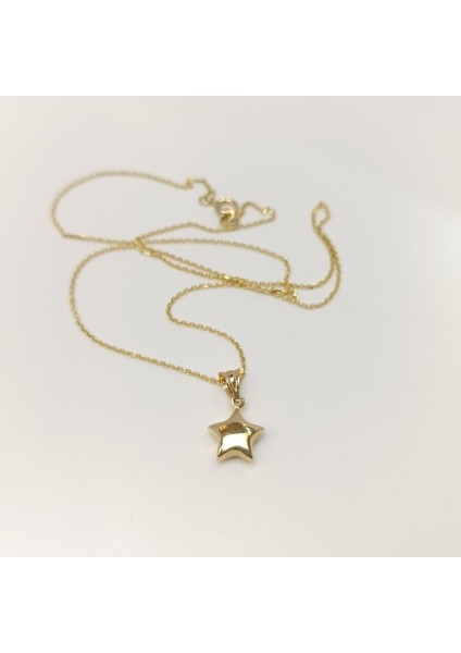 Tombik Yıldızı Kolye 14 Ayar Altın Hd Videolu fiyatları