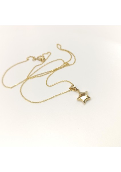 Tombik Yıldızı Kolye 14 Ayar Altın Hd Videolu modelleri