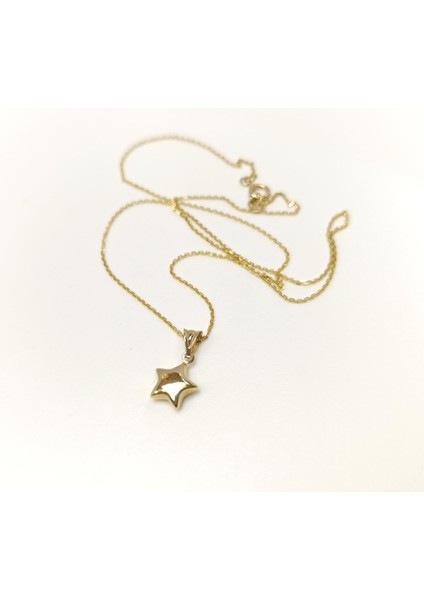 Tombik Yıldızı Kolye 14 Ayar Altın Hd Videolu fırsatları