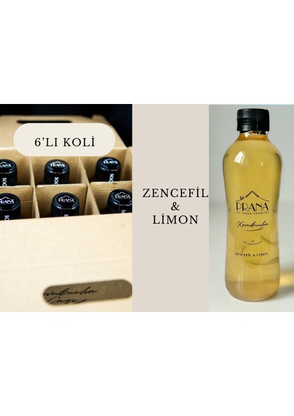 Kombucha 6*330ML Zencefil&limon