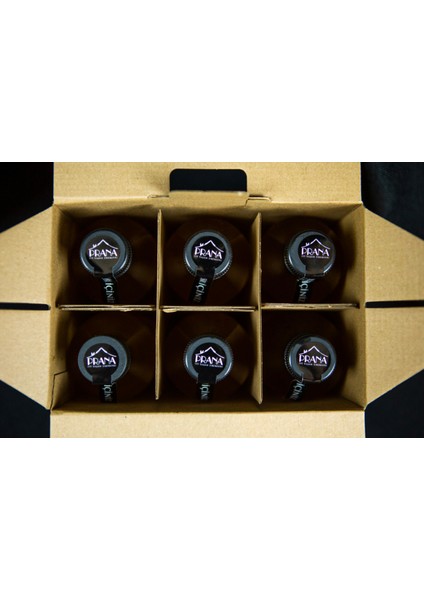 Kombucha 6*330ML Yaban Mersini fiyatları