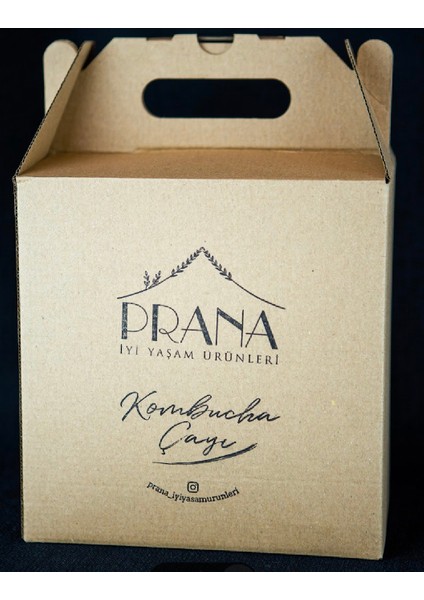 Kombucha 6*330ML Yaban Mersini modelleri