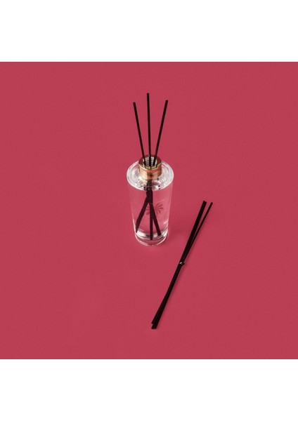 Deco Palm Breeze Hawaii Breeze Çubuklu Oda Kokusu - Şeffaf - 200 ml modelleri