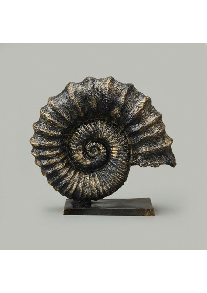 Deco Deniz Kabuğu Dekor - Gold / Siyah - 30 cm