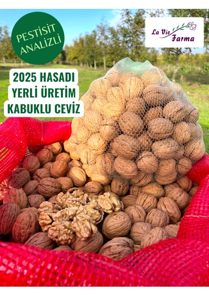 Yerli Üretim Ince Kabuklu Ceviz -3 Kg-