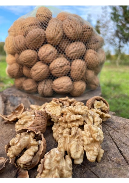 Yerli Üretim Ince Kabuklu Ceviz -3 Kg- fiyatları