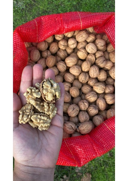 Yerli Üretim Ince Kabuklu Ceviz -3 Kg- modelleri