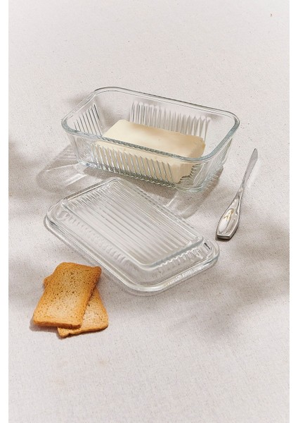 Frigo Kapaklı Saklama Kabı 480 cc