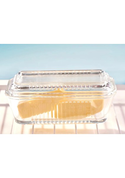 Frigo Kapaklı Saklama Kabı 480 cc fırsatları