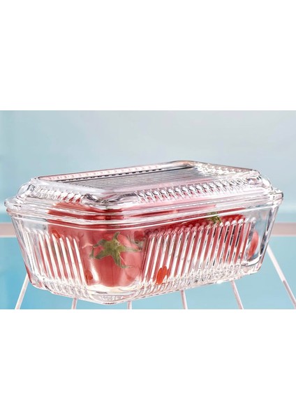 Frigo Kapaklı Saklama Kabı 480 cc indirimleri