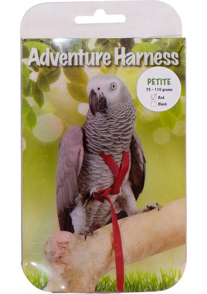 Xmpdby Eastland Kuş Göğüs Tasma Xxs 6,5X25X125CM