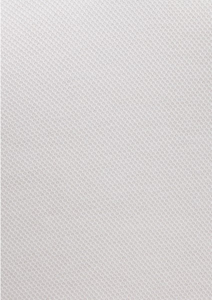 Beyaz Polo Elbise 1310775-70057