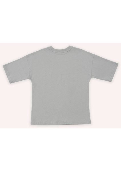 Erkek Çocuk Yazı Baskılı Kısa Kollu Gri Tişört fiyatları