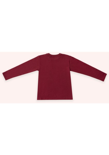 Kız Çocuk Uzun Kollu Bordo Tişört fiyatları