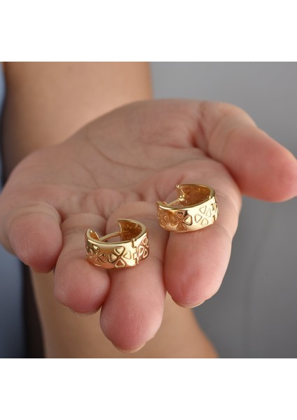 14 Ayar Mikron Altın Kaplama Kalın Desenli Huggie Halka Gümüş Küpe - E00297 fiyatları