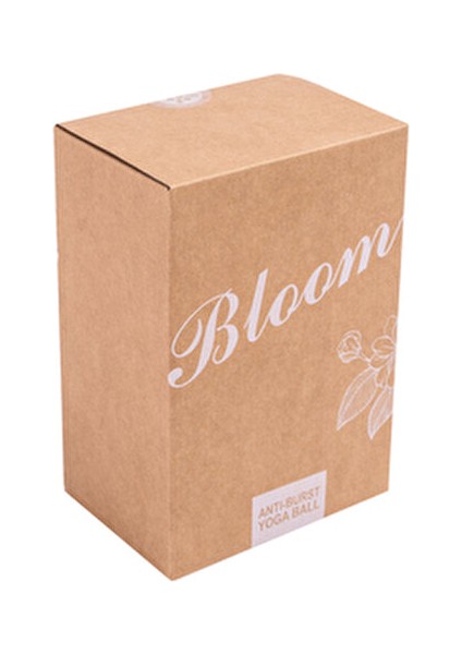 65 cm Pilates Topu Yeşil Renk Anti-Burst Yapı ile Güvenli Egzersiz 1050 g