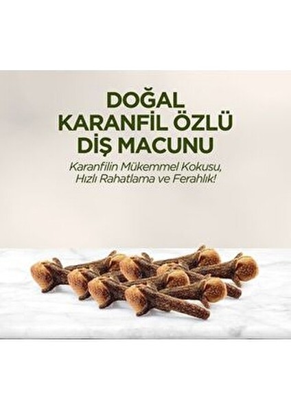 Diş Macunu Karanfil Özlü Ferahlatıcı Etki 90 ml x 4 Adet fırsatları