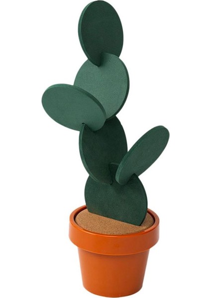 Kaktüs Altlığı (Yurt Dışından) fiyatları