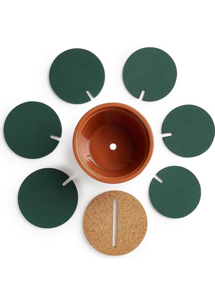 Kaktüs Altlığı (Yurt Dışından) modelleri