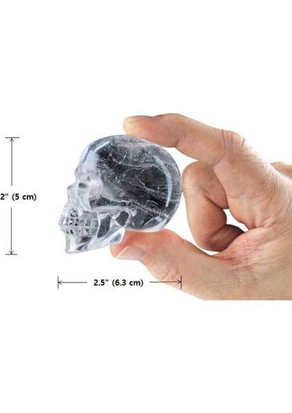 Cadılar Bayramı 3D Kafatası Kafa Buz Küpü Kalıbı (Yurt Dışından) modelleri