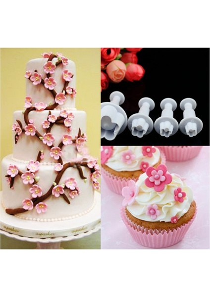 Erik Şekli (Yurt Dışından) fiyatları