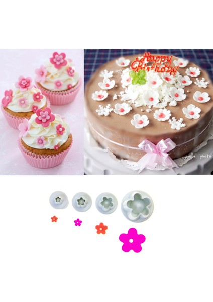 Erik Şekli (Yurt Dışından) modelleri