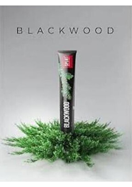 Blackwood Siyah Diş Macunu Güçlü Beyazlatma Etkisiyle 75 ml Ferahlatıcı Aroma