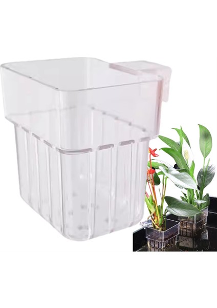 Akvaryum Hidroponik Dikim Kupası Ev Halkı Aquatic Bitki Kupası Akrilik Kupa Balık Tankı Peyzaj Dekorasyonu (Yurt Dışından) fiyatları