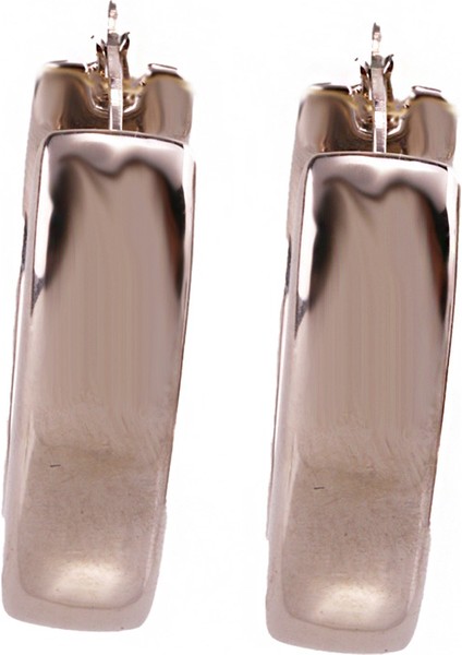 Lui S 3 Kalp Şarnel Gümüş Küpe MS3721, 925 Ayar Kadın Gümüş Küpe, Ithal Ürün, Altın Kaplama fiyatları