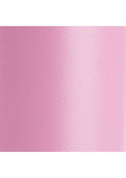 Çocuk Su Şişesi - 16 Oz Paslanmaz Çelik Çift Duvar Vakum Yalıtımlı Su Şişesi Yeniden Kullanılabilir Geniş Ağızlı Spor Şişesi, Sızdırmaz Borulu Kapaklı Bpa Içermez (Yurt Dışından)