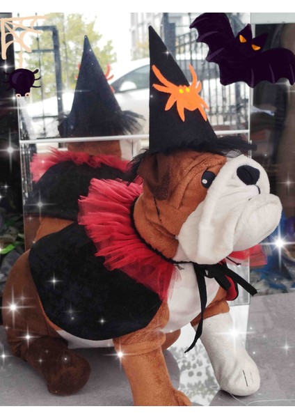 Kedi&köpek 🎃halloween Parti Kostüm Şapka modelleri