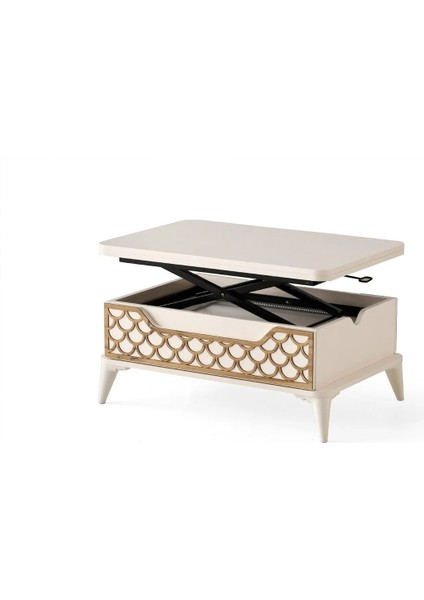 Akıllı Sehpa Sihirli Sehpa 5 Kademeli Fonksiyonel Orta Sehpa Açılabilir Sehpa Tekerlekli MASA1299 60X90 fiyatları