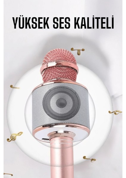 Nrzsnt Taşınabilir Bluetooth Karaoke Mikrofon: Hafıza Kart Girişli, Etkileyici Performans fırsatları