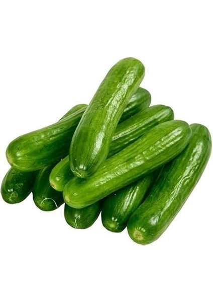 Tarım Yerli Doğal Kokulu Çengelköy Hıyarı Badem Salatalık 50 Adet Tohum fiyatları