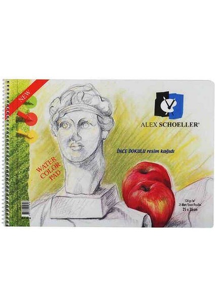 Alex 25X35 25 Yp Pp Kapak Resim Defteri ALX-816