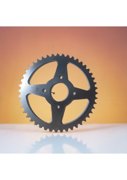 Tvs Apache Rtr 200 Arka Dişli 46T